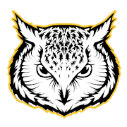 Owl VPN Free - Internet Freedom, Privacy & Safety